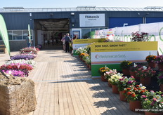 Buiten hebben ze een opzet gemaakt van trends die ze zien, zoals first year flowering perennials. Zo kan een kweker die annuals doet ook een meerjarig product telen. Daarnaast bestuivers. En het recente geintroduceerde sowfast grows fast programma, lees hier meer over dit programma: https://www.bpnieuws.nl/article/9521937/nieuwe-programma-maakt-extra-verkoop-mogelijk-in-het-schouderseizoen/ 